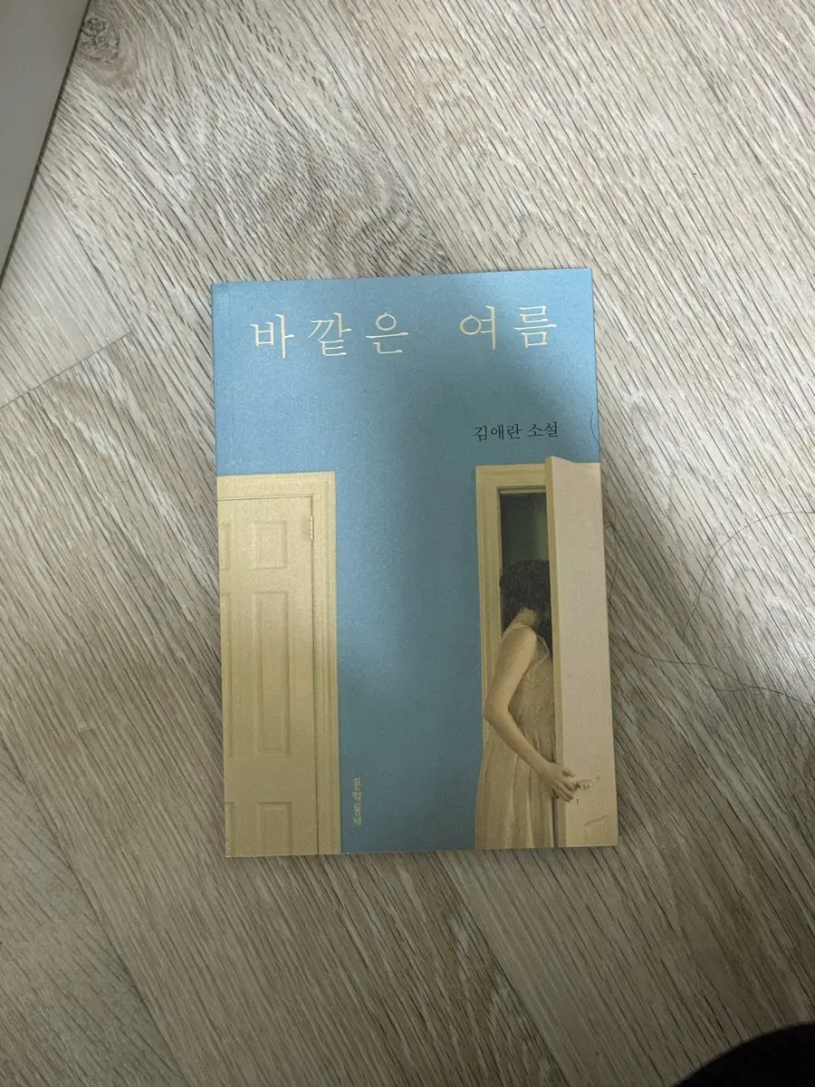 바깥은 여름 책